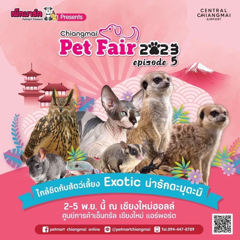 ในวันที่ 2-5/11/2023 ทาง บริษัท เพ็ด เอ็กซ์ จำกัด ได้ร่วมจัดบูธแสดงสินค้าและจำหน่ายในงาน Chiangmai Pet Fair 2023 episode 5 ณ ศูนย์การค้า เซ็นทรัล เชียงใหม่ แอร์พอร์ต