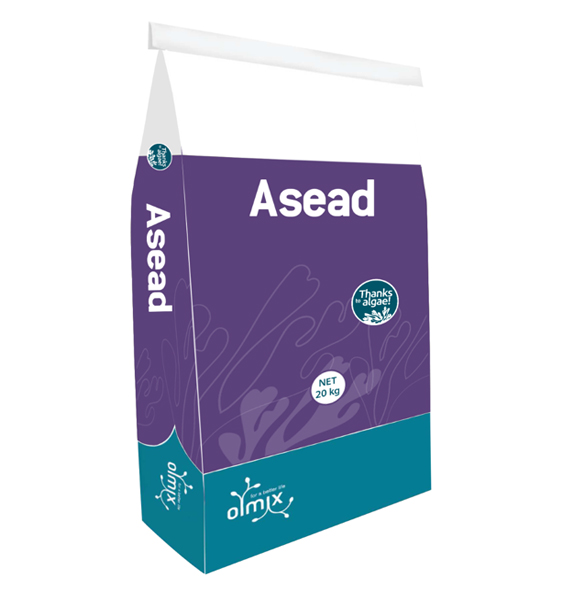 ASEAD