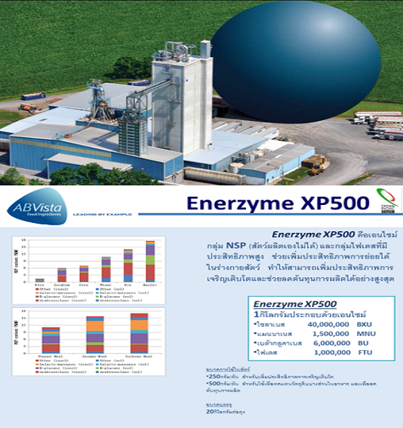 Enerzyme XP 500