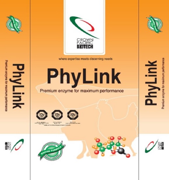 Phylink