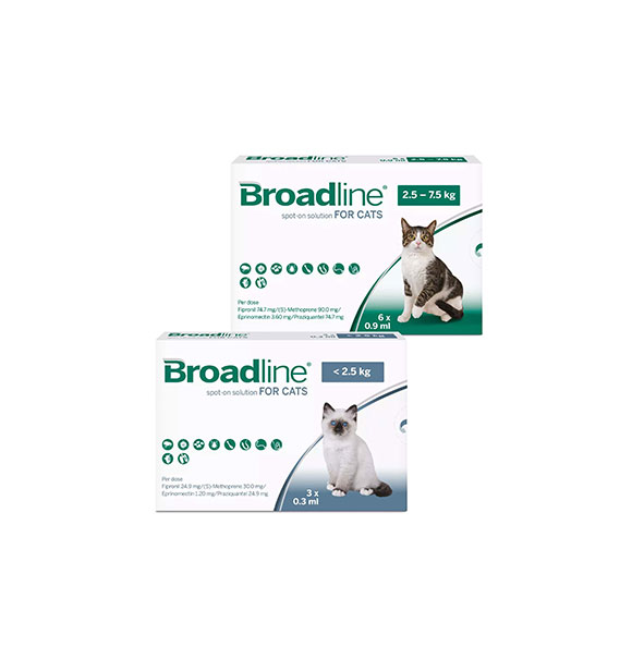 Broadline