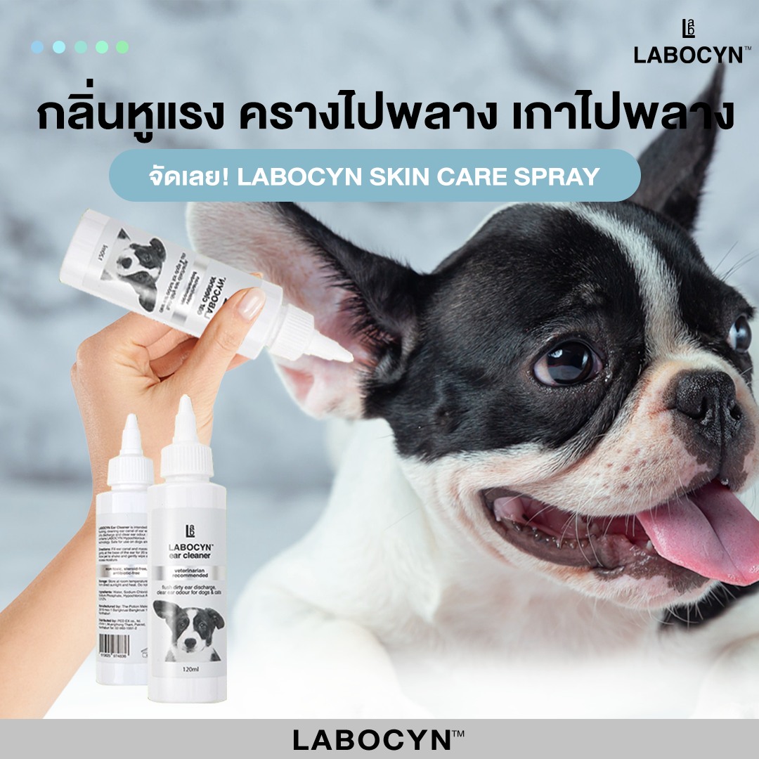 Labocyn Ear Cleaner 120 ml