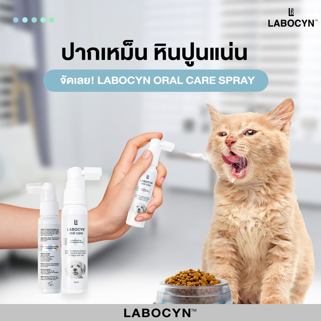 Labocyn Oral Care 50 ml