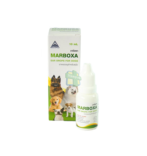 MARBOXA EAR DROP