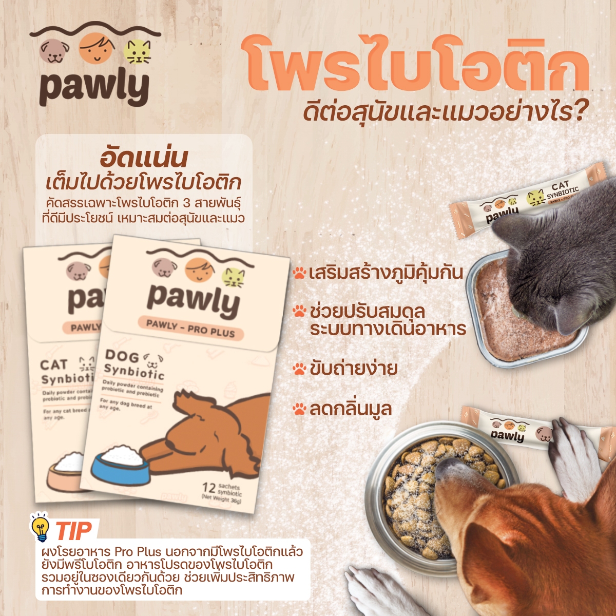 Pawly Pro Plus