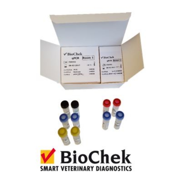 Swine PCR Kit