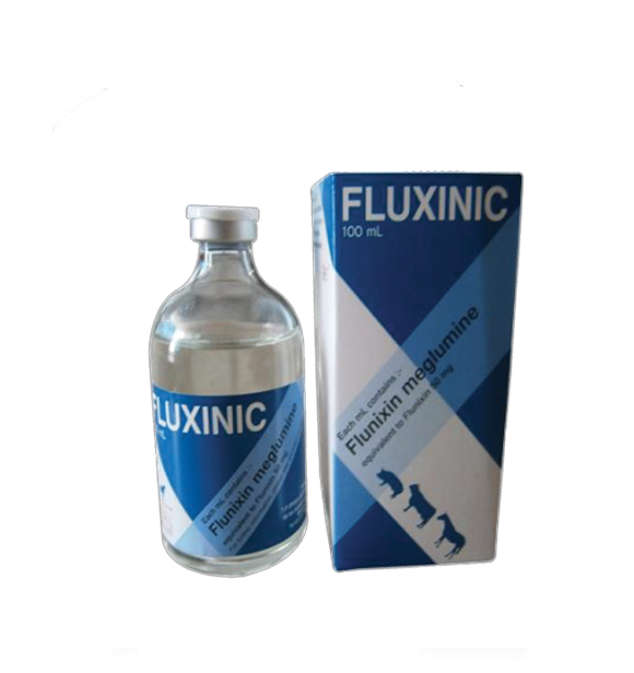 FLUXINIC